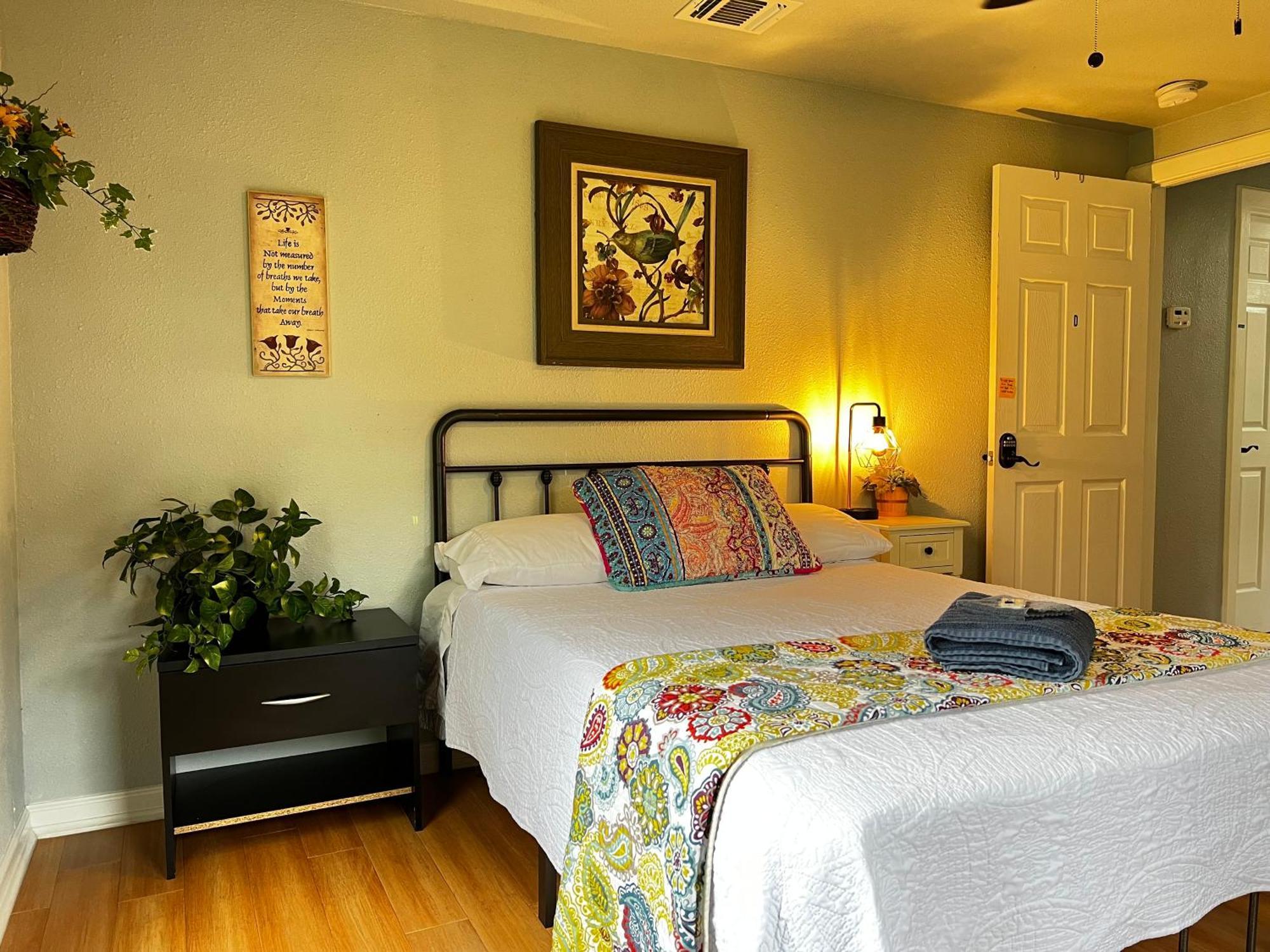 Séjour chez l'habitant Boho Bliss- Cozy Private 2 Miles From Alamodome! *