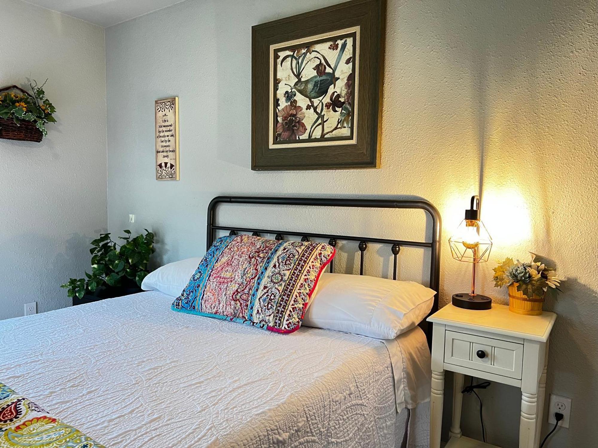 Boho Bliss- Cozy Private 2 Miles From Alamodome! Séjour chez l'habitant